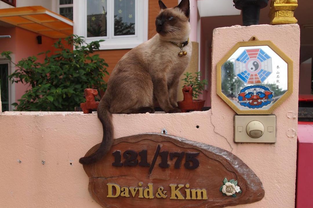Photo of Others in Chiang Mai
