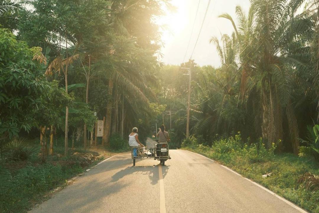 Photo of Others in Ban Ta Khun