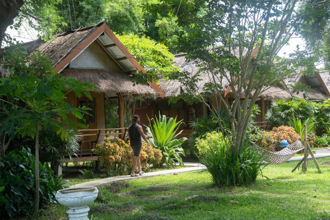 Photo of Others in Pai