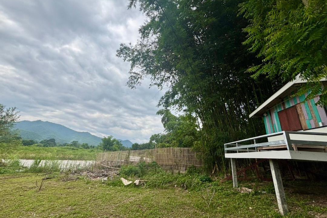 Photo of Others in Pai