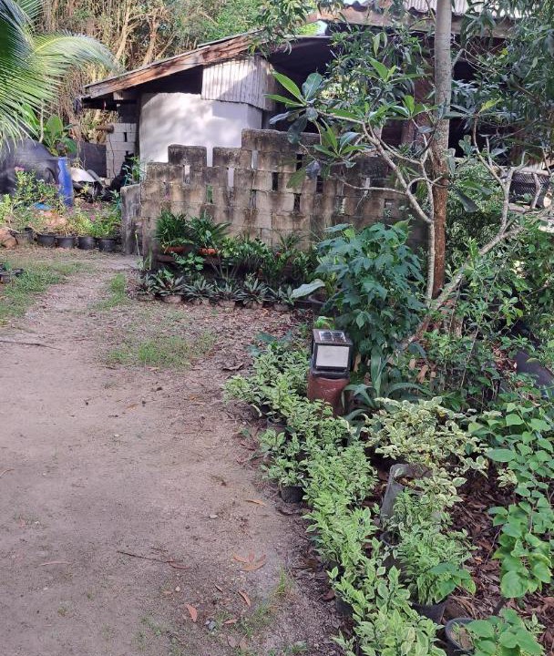 Photo of Others in Ko Yao
