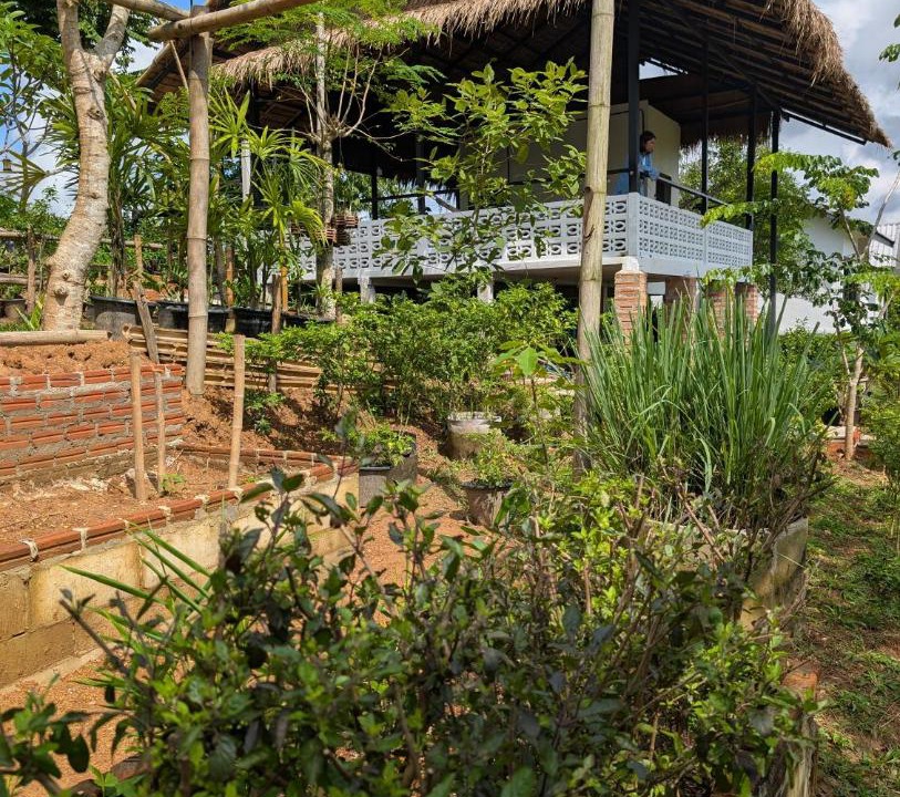 Photo of Others in Loei Province