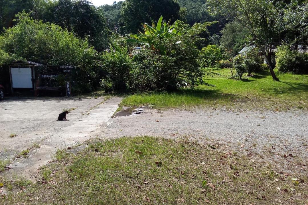 Photo of Others in Chom Thong