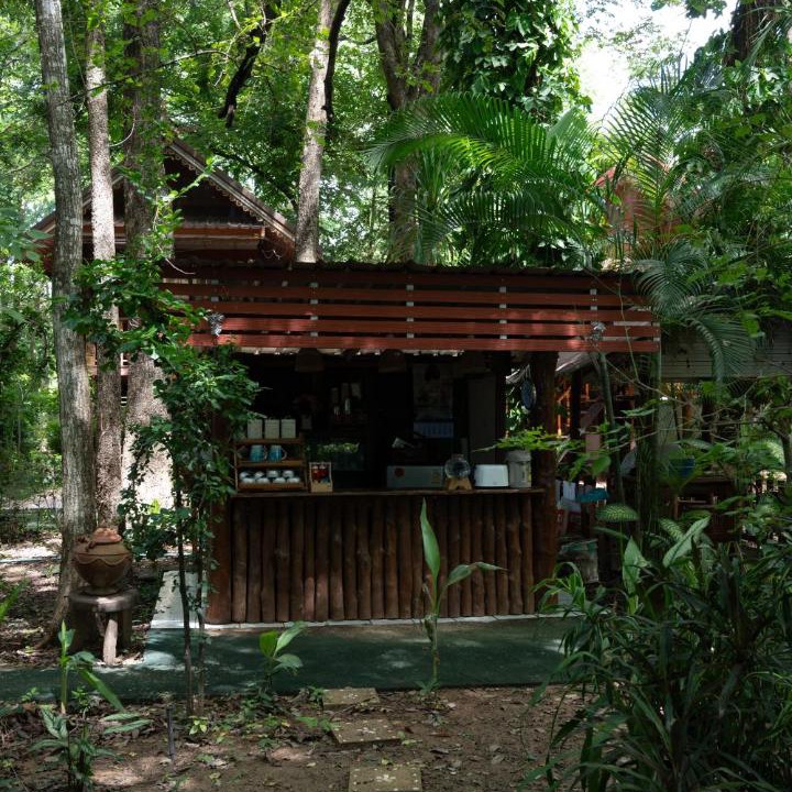 Photo of Others in Phitsanulok