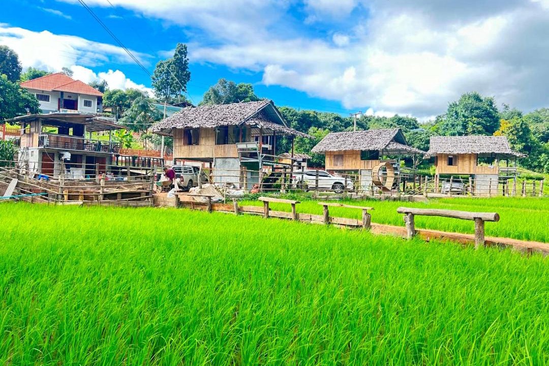 Photo of Others in Laplae