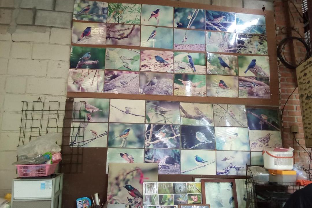 Photo of Others in Chom Thong