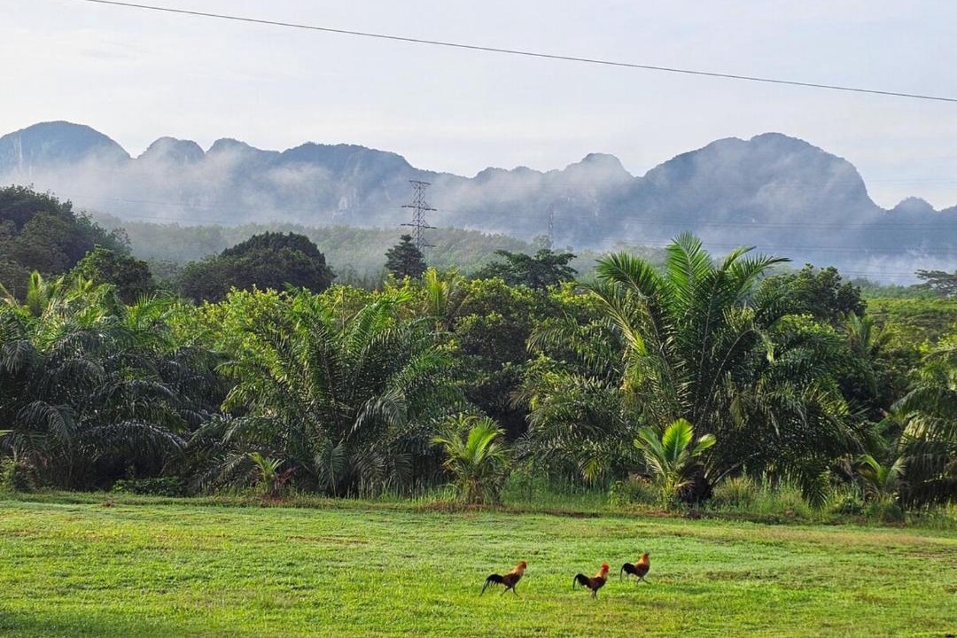 Photo of Others in Phang Nga
