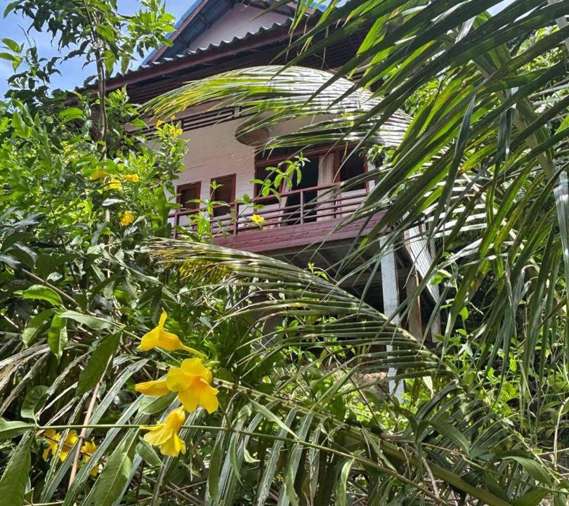 Photo of Others in Koh Rong