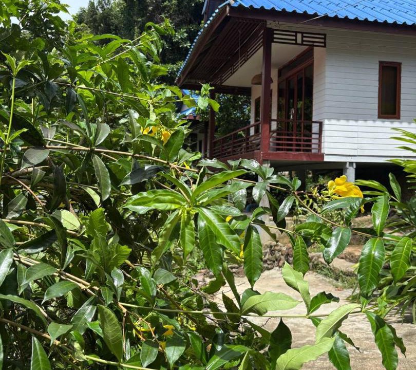 Photo of Others in Koh Rong