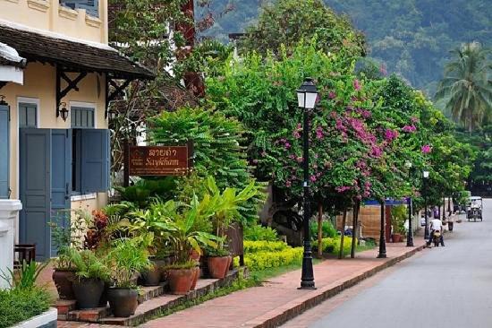 Photo of Others in Luang Prabang