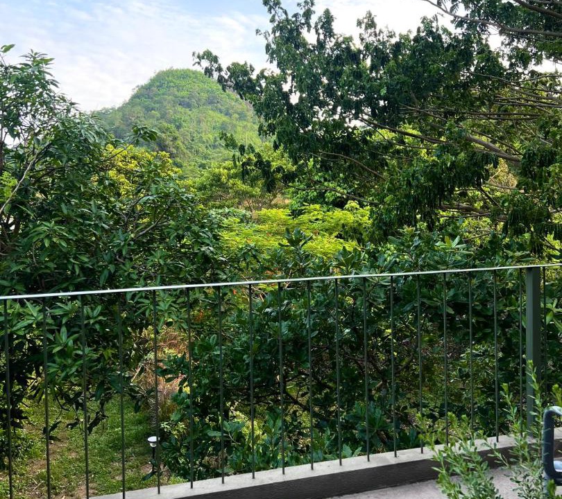 Photo of Others in Khao Yai National Park