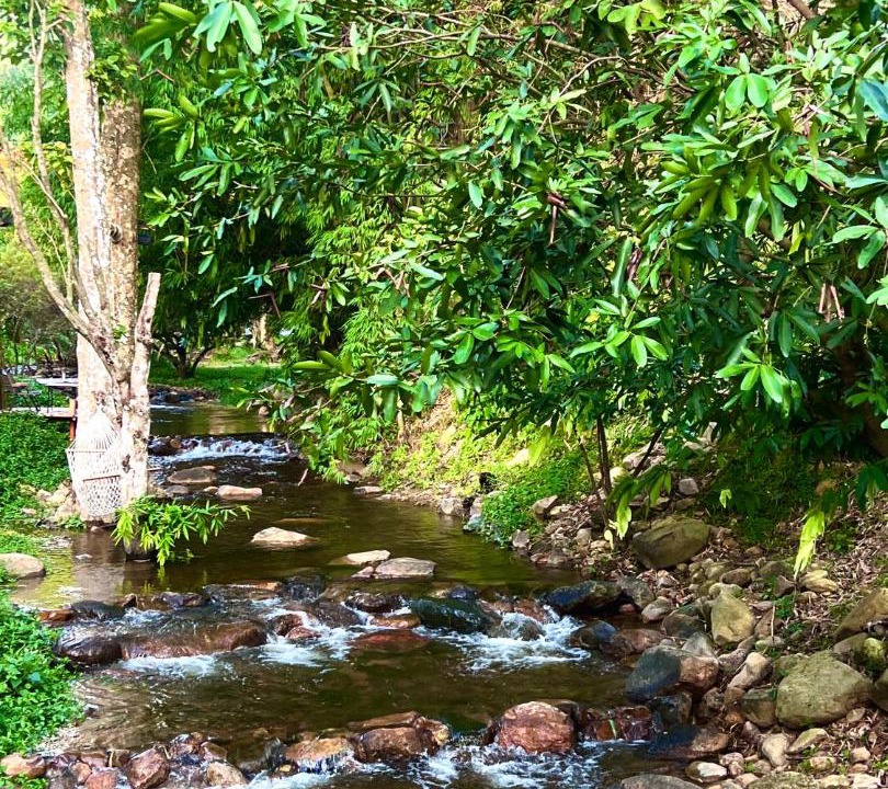 Photo of Others in Khao Yai National Park