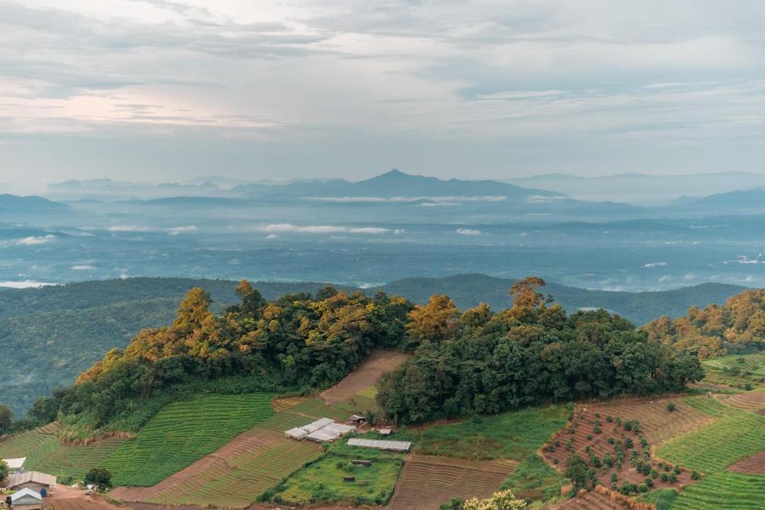 Photo of Others in Mae Rim