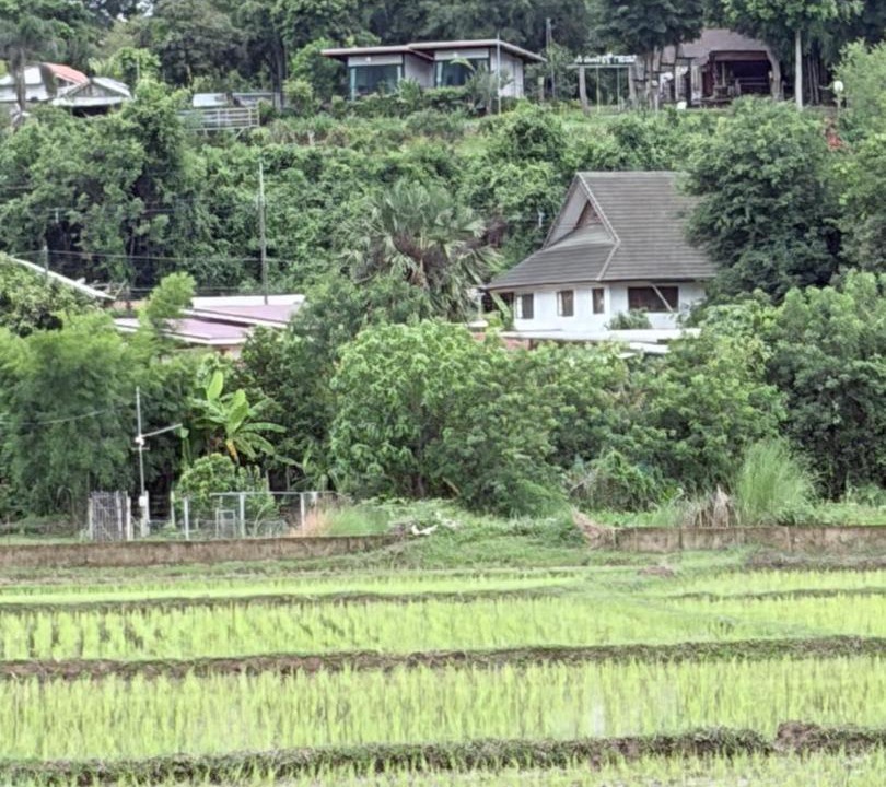 Photo of Others in Pua