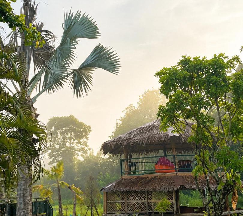 Photo of Others in Ban Ta Khun