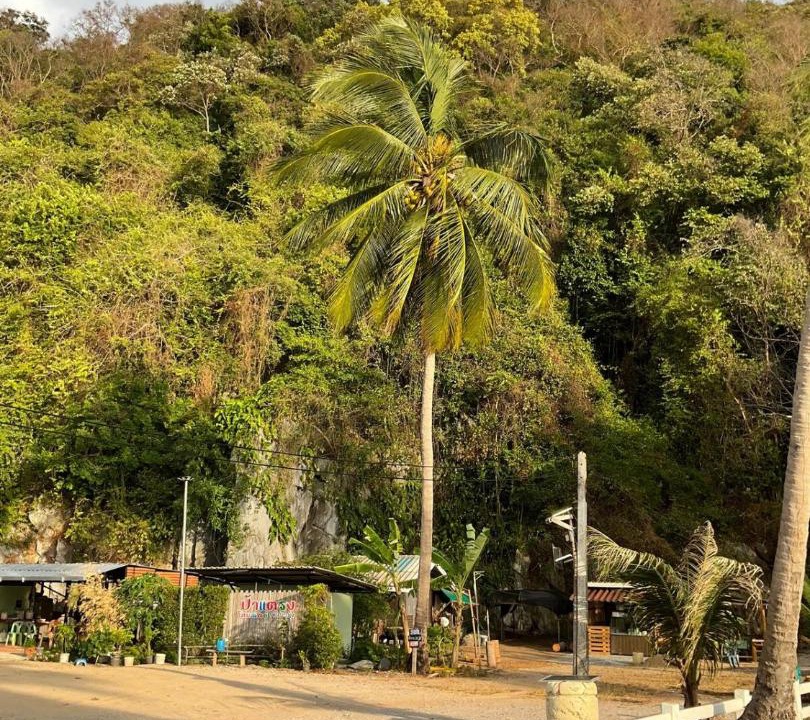 Photo of Others in Khanom