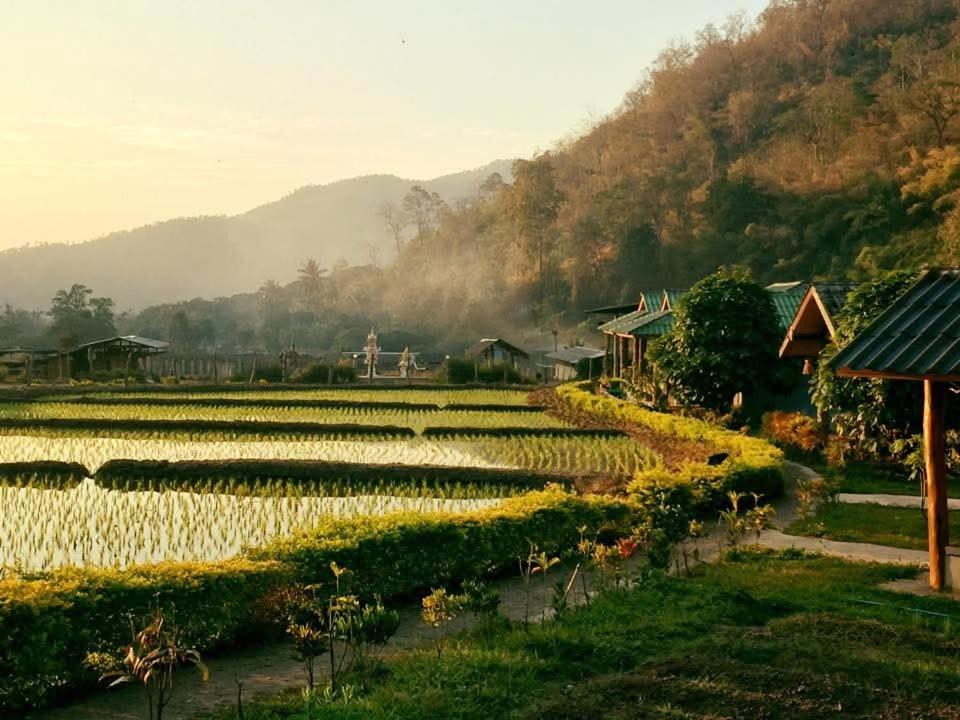Photo of Others in Mae Taeng