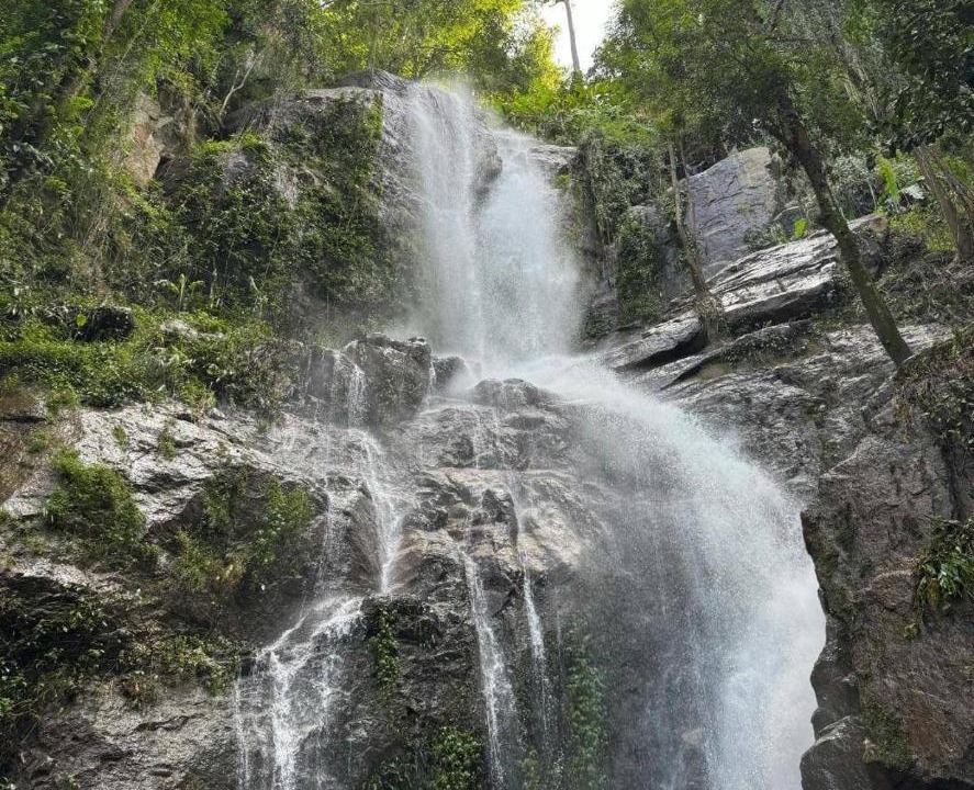 Photo of Others in Rim Tai