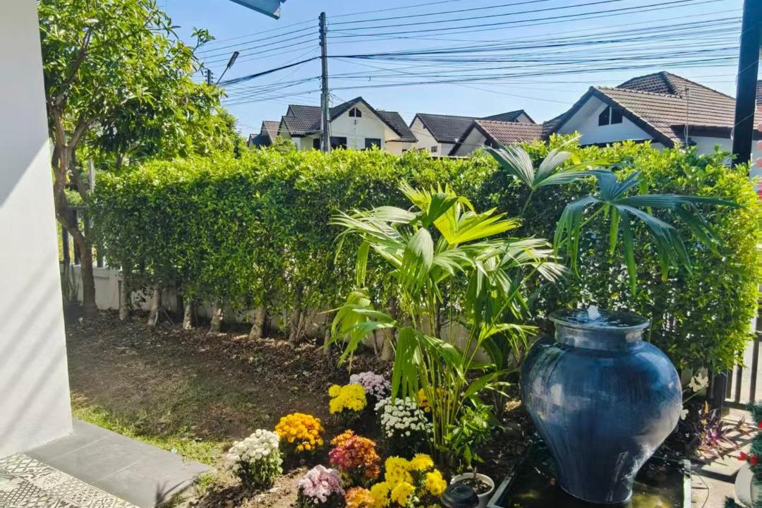 Photo of Others in San Phak Wan