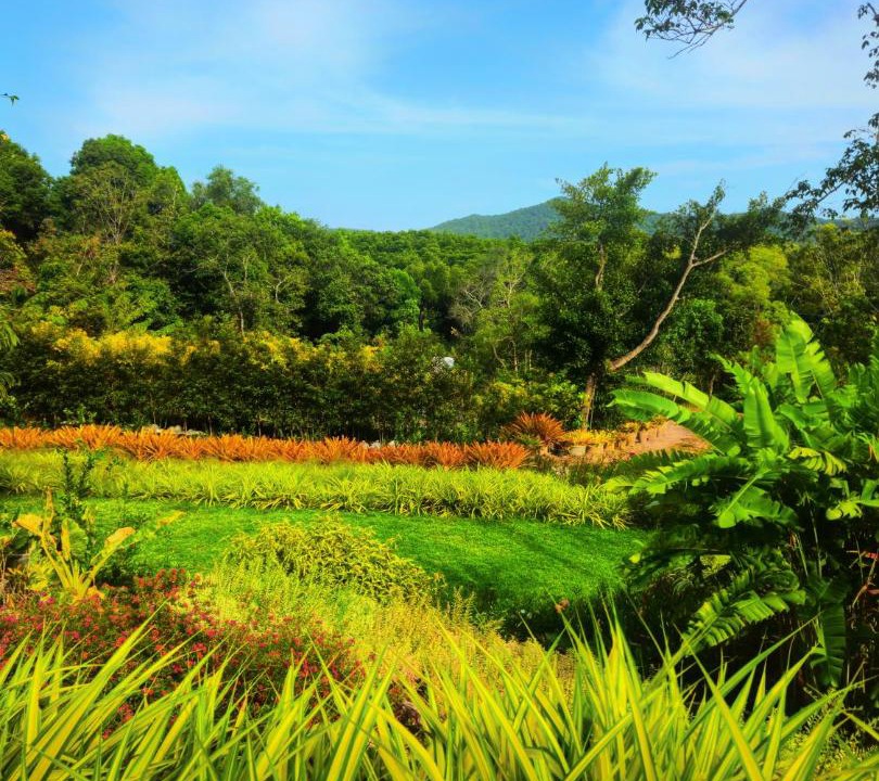Photo of Others in Ko Yao