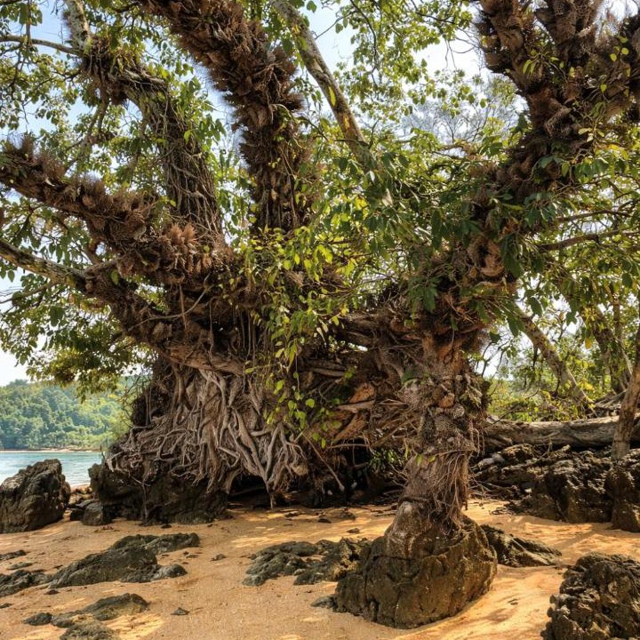 Photo of Others in Ko Yao
