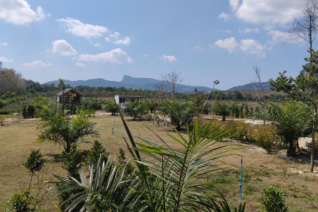 Photo of Others in Nong Thale