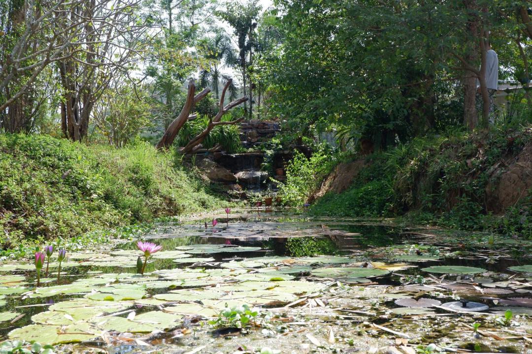 Photo of Others in Pranburi