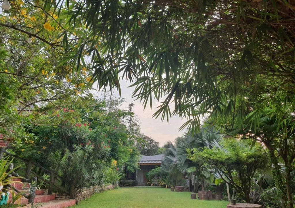 Photo of Others in Suan Phueng