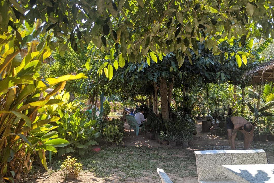 Photo of Others in Thong Krut