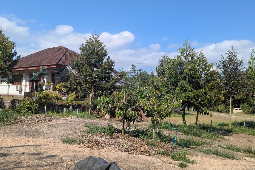 Photo of Others in Thong Krut