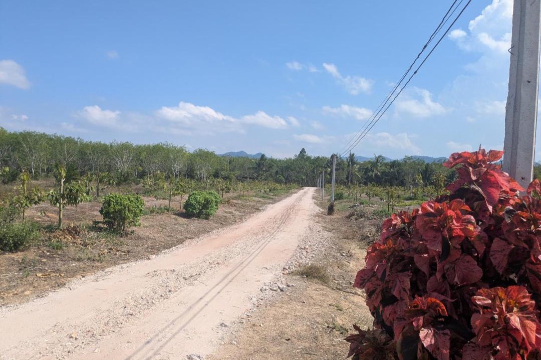 Photo of Others in Thong Krut