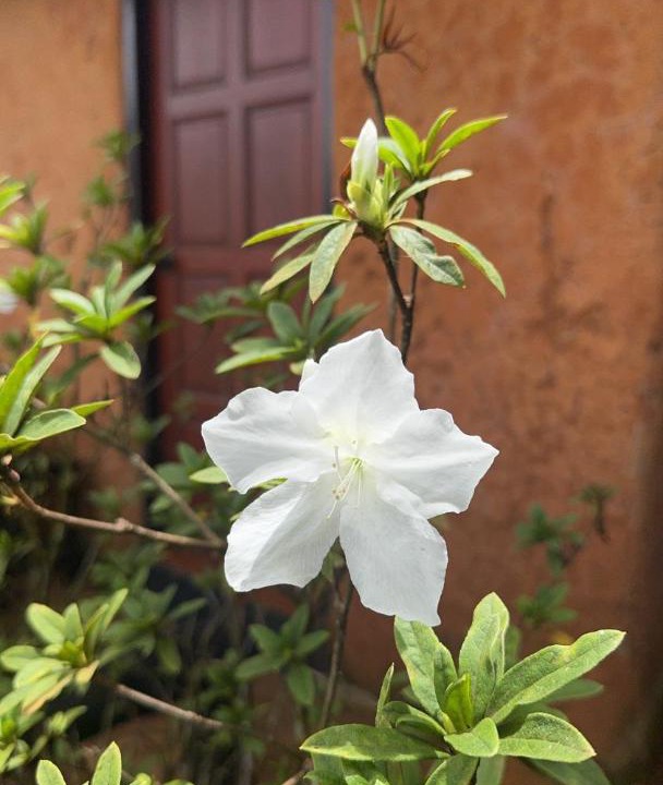 Photo of Outdoor in Mok Cham Pae