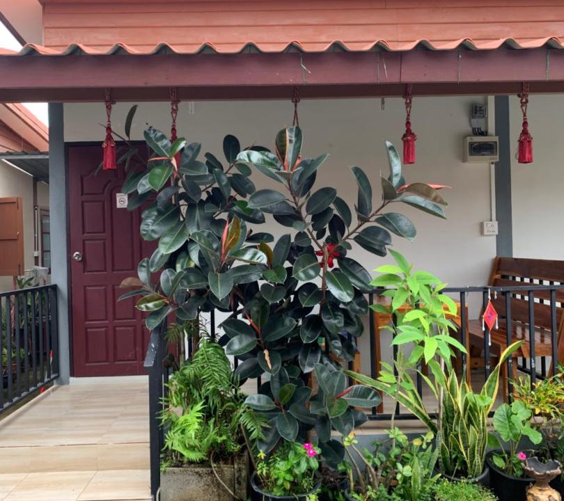 Photo of Others in Chiang Khan