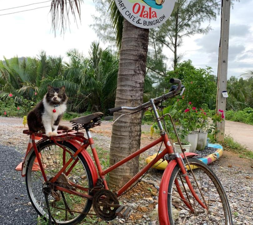 Photo of Others in Ko Lanta