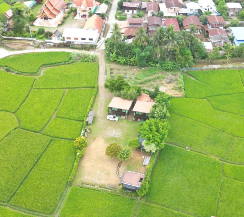 Photo of Others in Pua