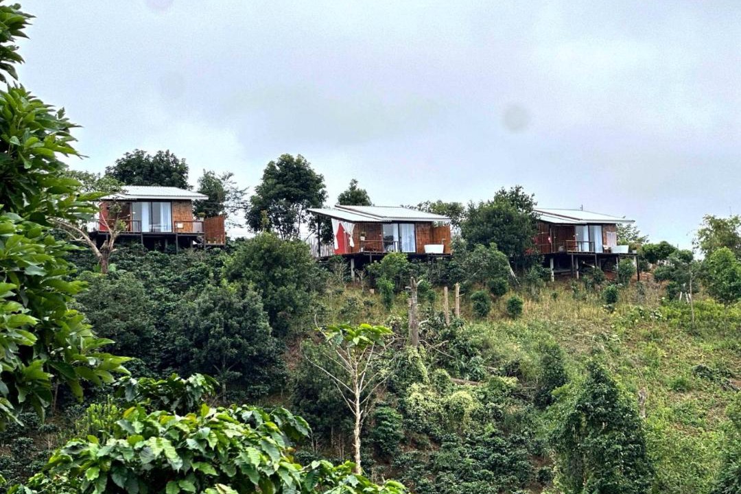 Photo of Others in Mae Suai