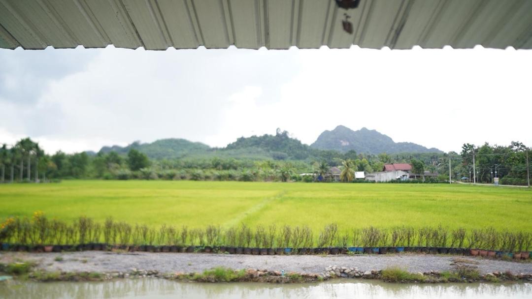 Photo of Others in Plai Phraya