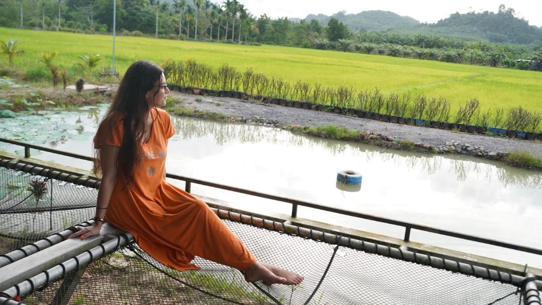 Photo of Others in Plai Phraya