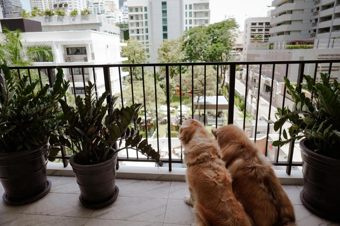 Photo of Others in Khlong Toei Nuea