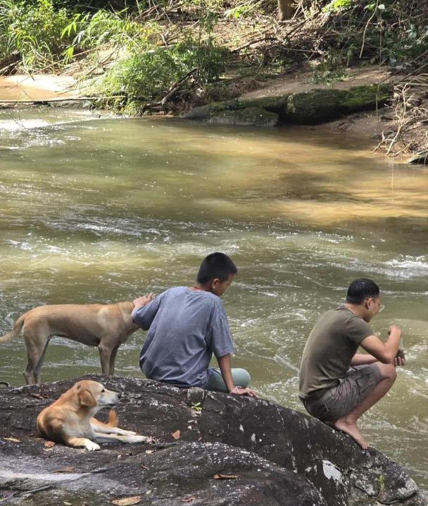 Photo of Others in Chom Thong