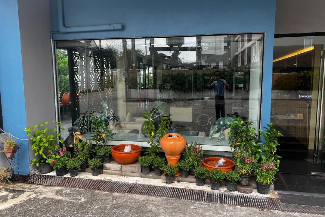 Photo of Others in Dok Mai