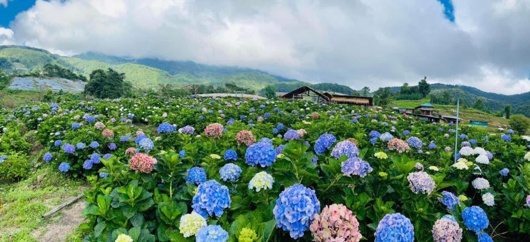 Photo of Outdoor in Doi Lo