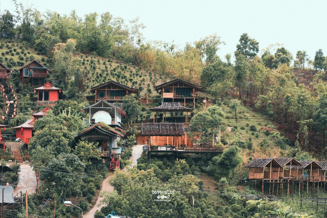Photo of Others in Mok Cham Pae