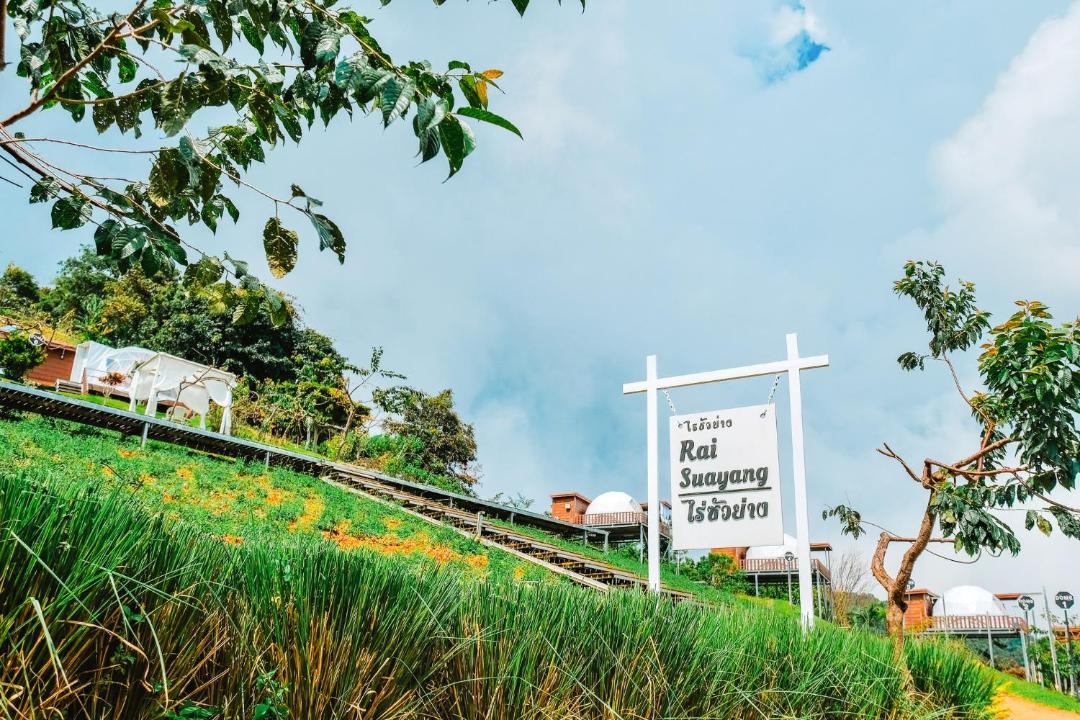 Photo of Others in Mae Rim