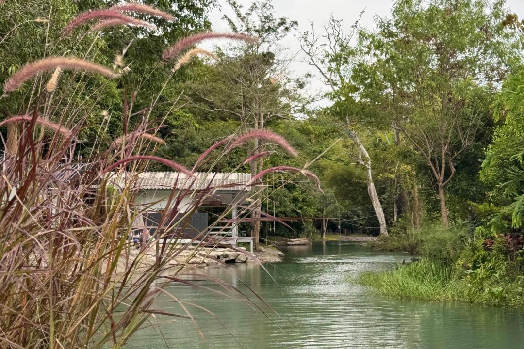 Photo of Others in Khao Yai National Park