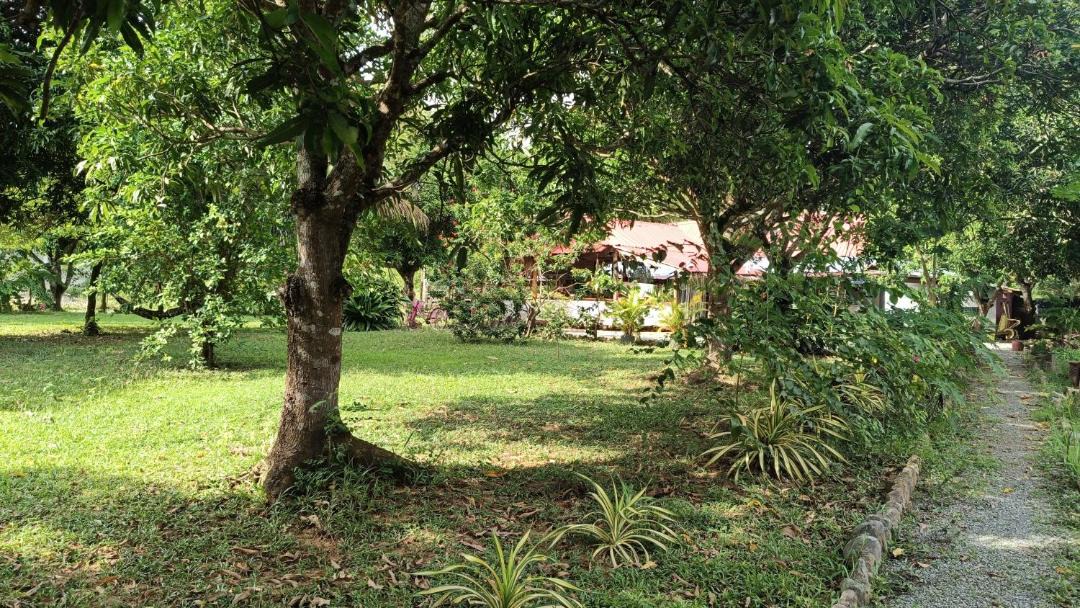 Photo of Others in Kep
