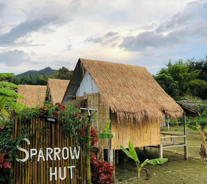 Photo of Others in Pai