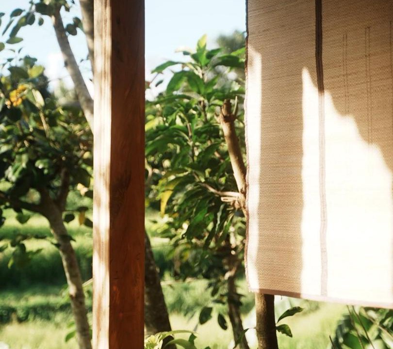 Photo of Others in Mae Wang