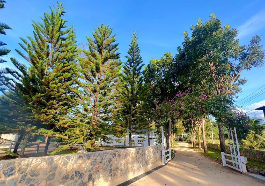Photo of Outdoor in Mu Si
