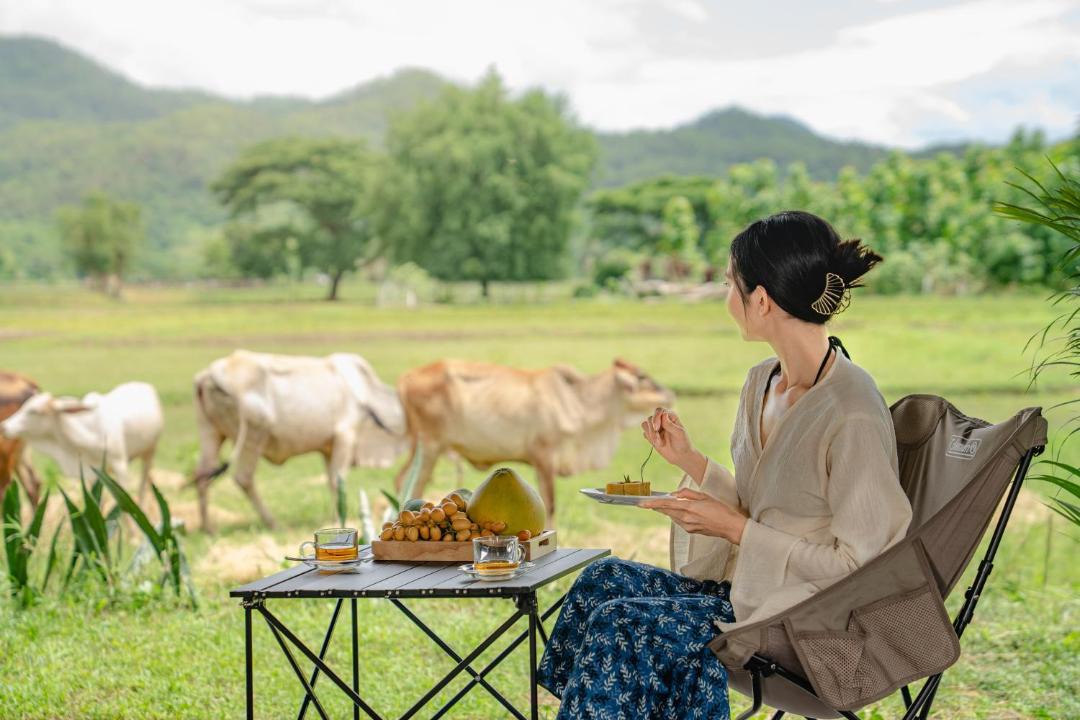 Photo of Others in Pai